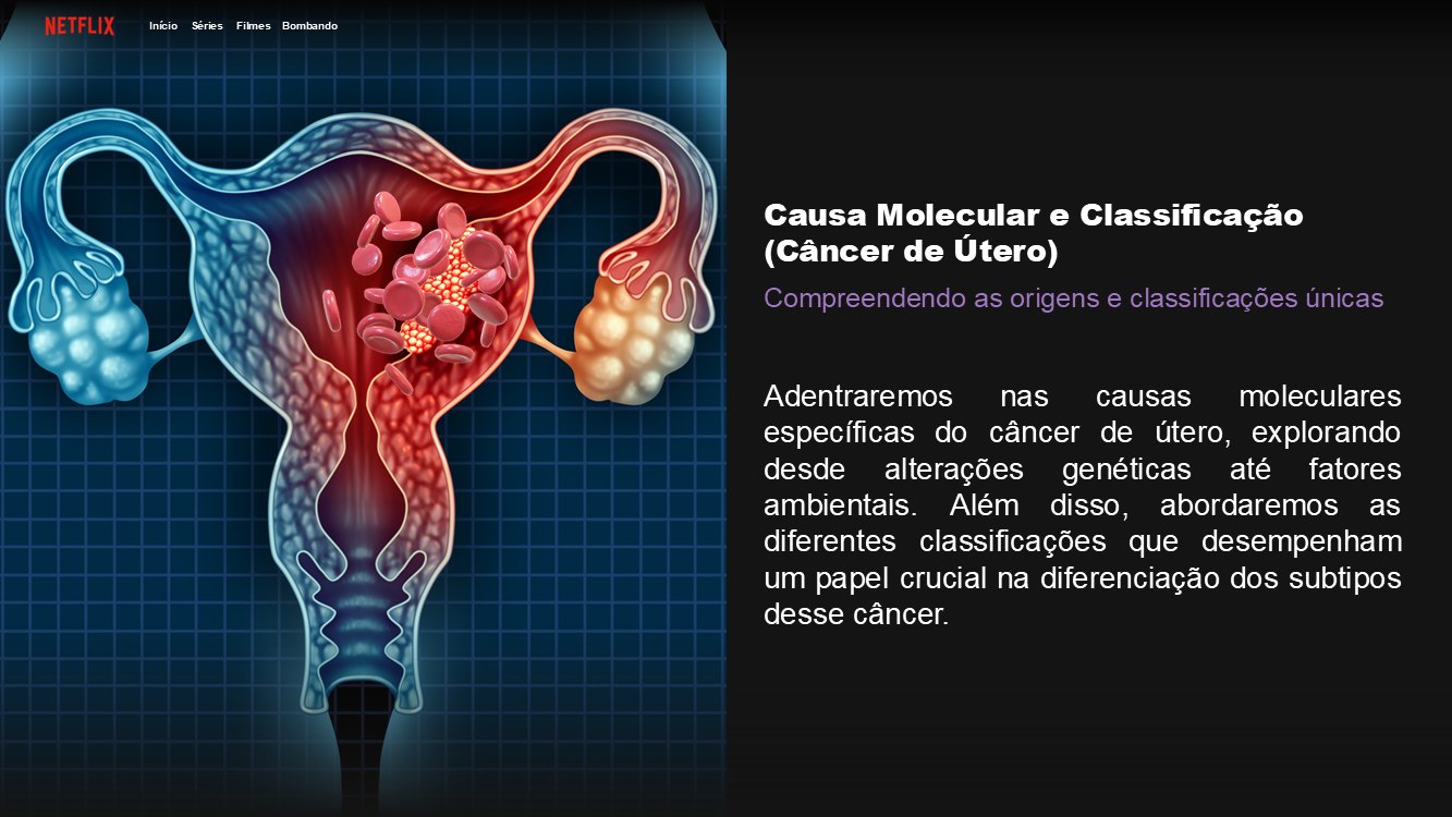 netflix-slide6