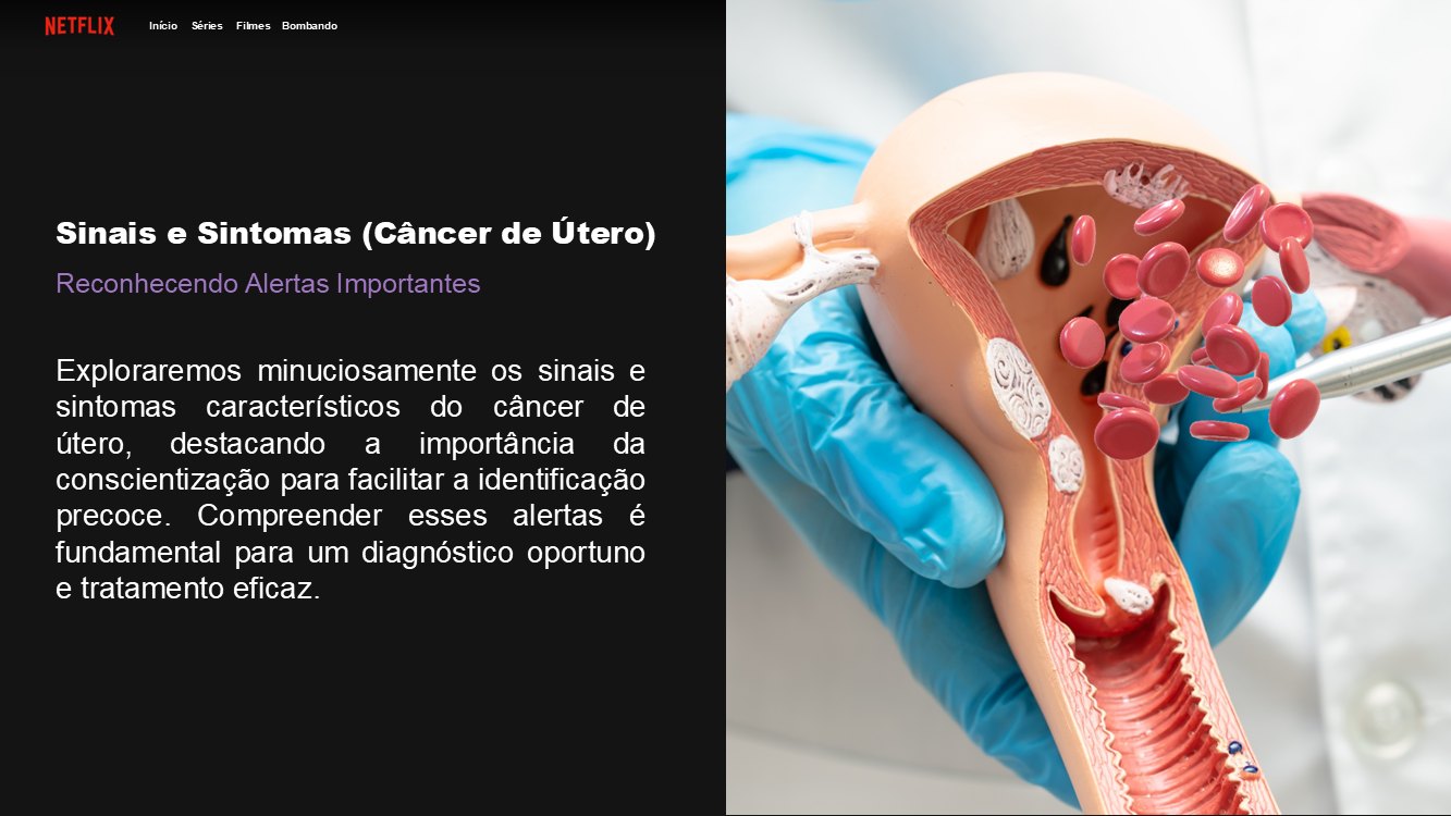 netflix-slide8