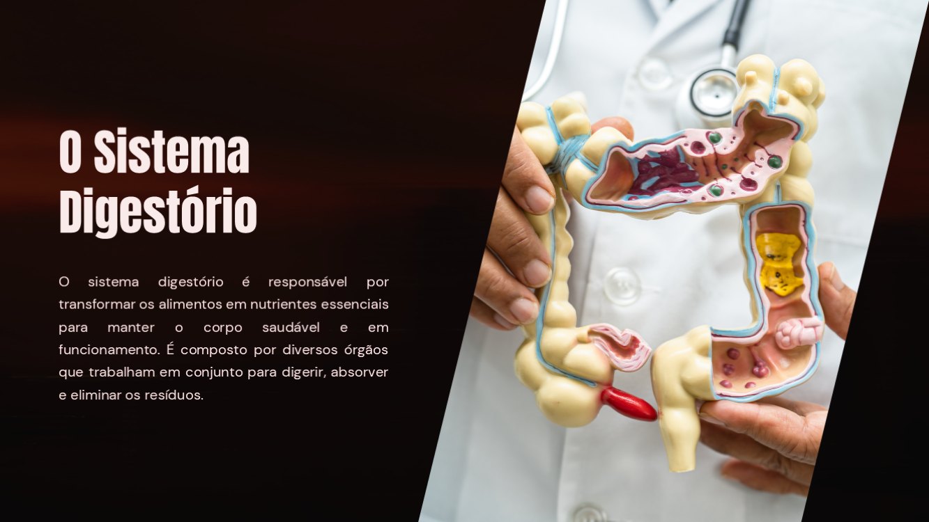 o-sistema-digestorio-slide1