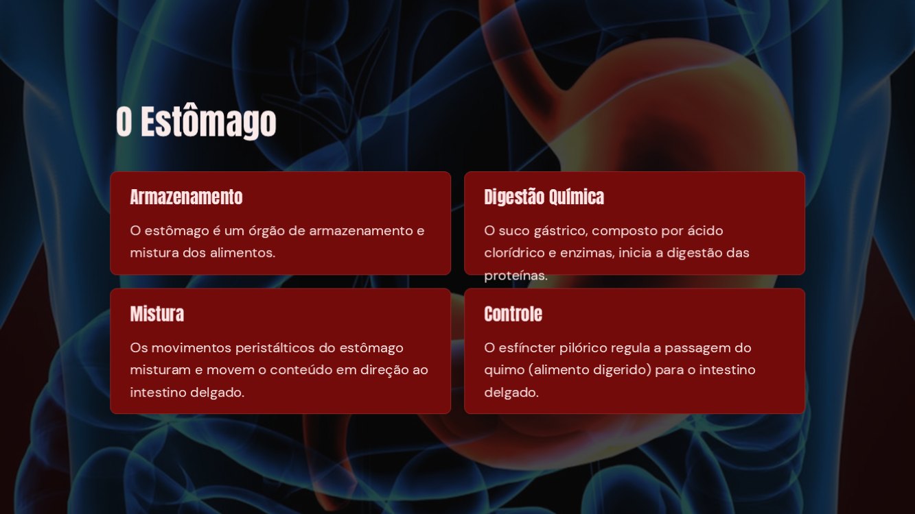 o-sistema-digestorio-slide5