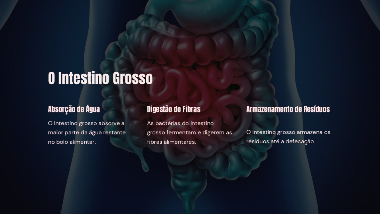 o-sistema-digestorio-slide7