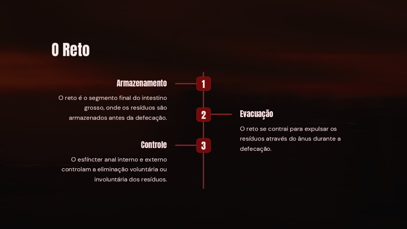 o-sistema-digestorio-slide8