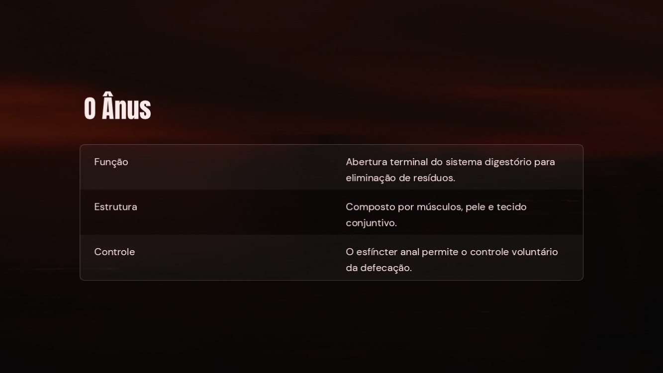 o-sistema-digestorio-slide9