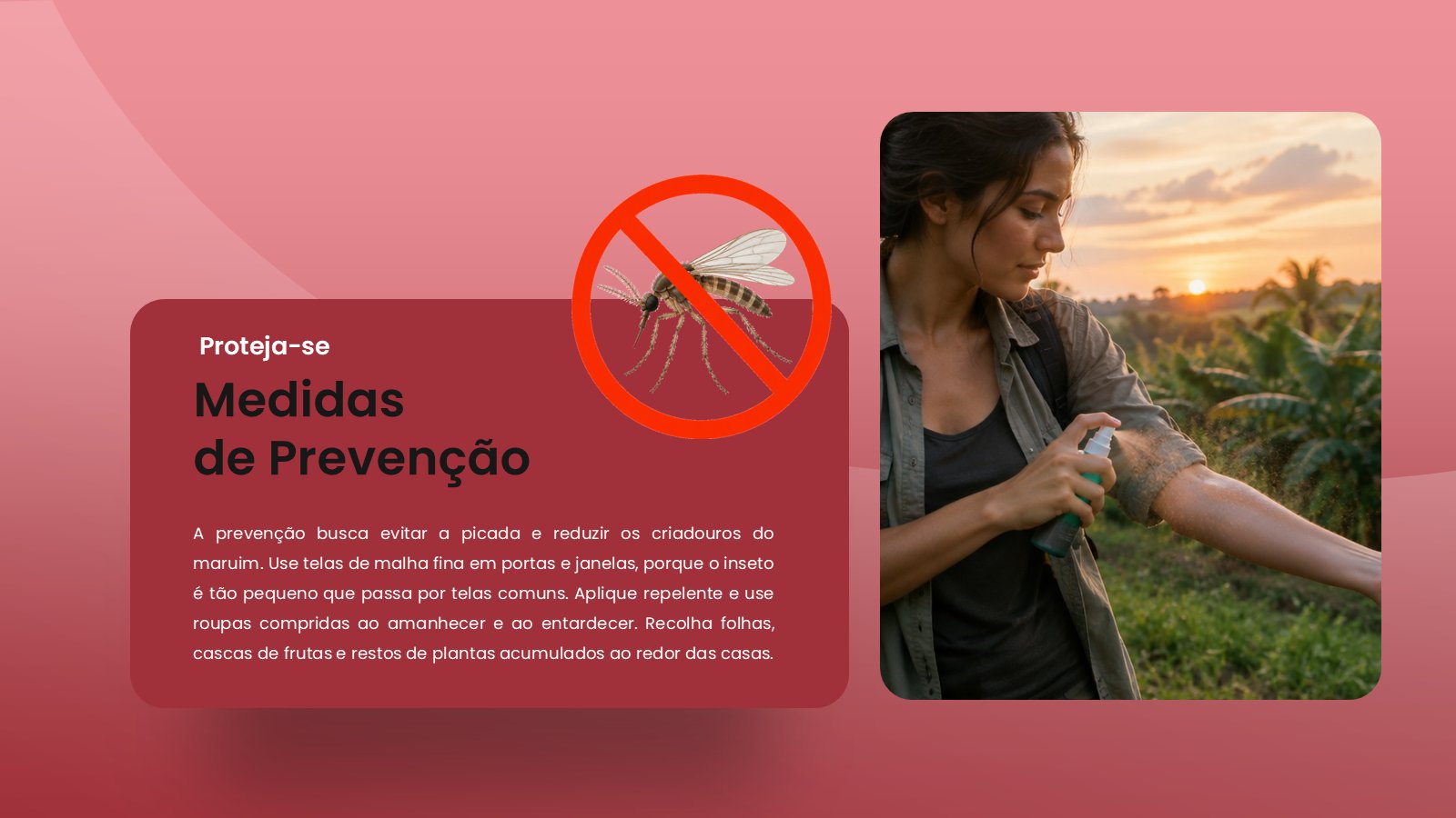 Oropouche – slide 11