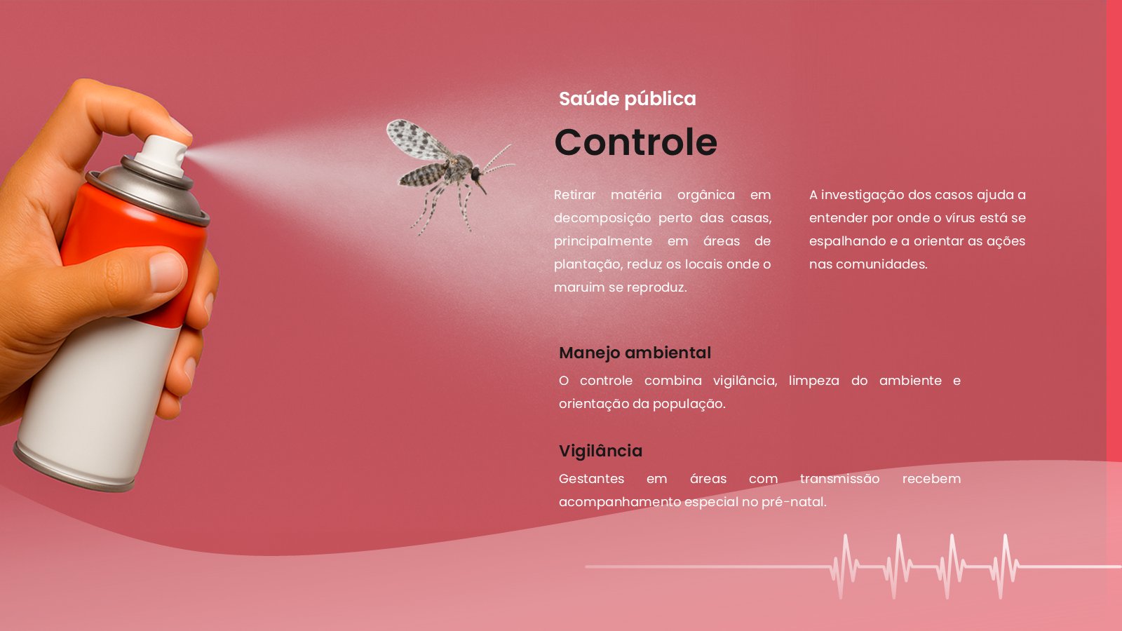 Oropouche – slide 12