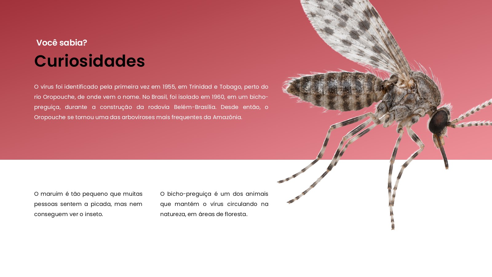 Oropouche – slide 13