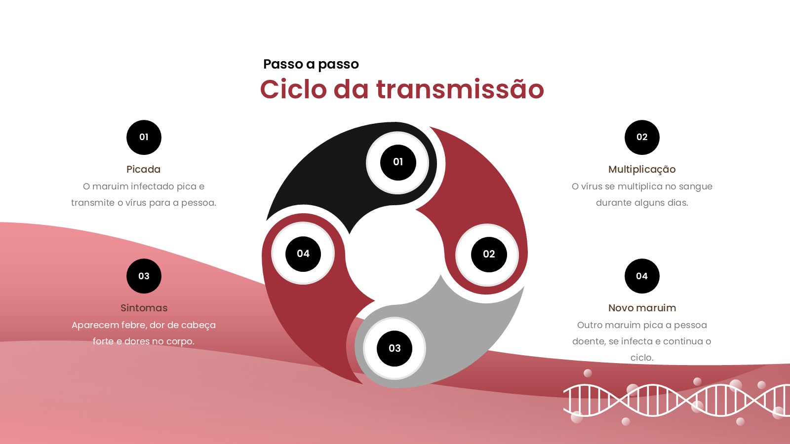 Oropouche – slide 14