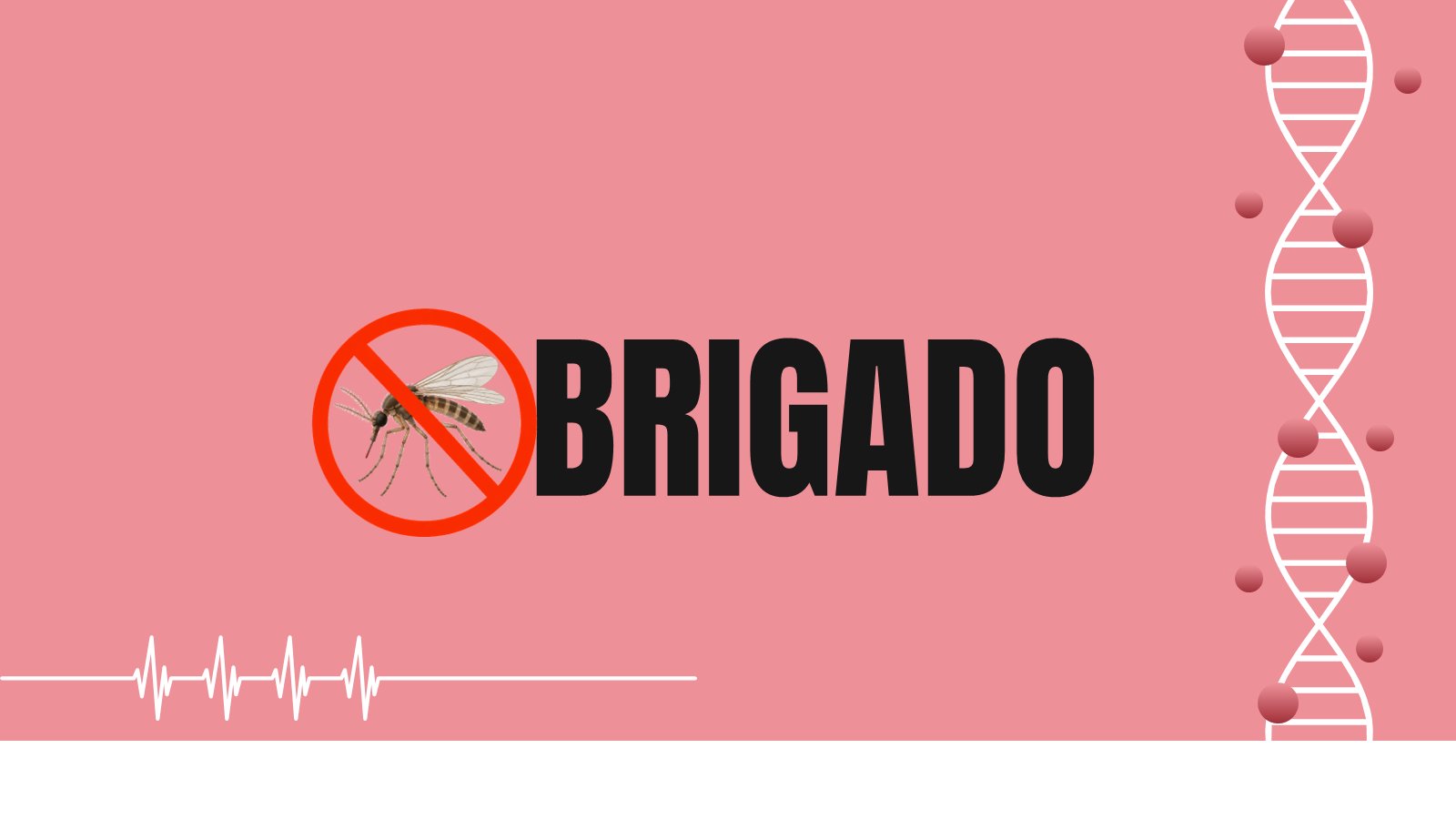 Oropouche – slide 17