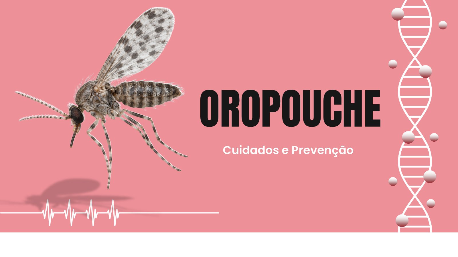 Oropouche – slide 2
