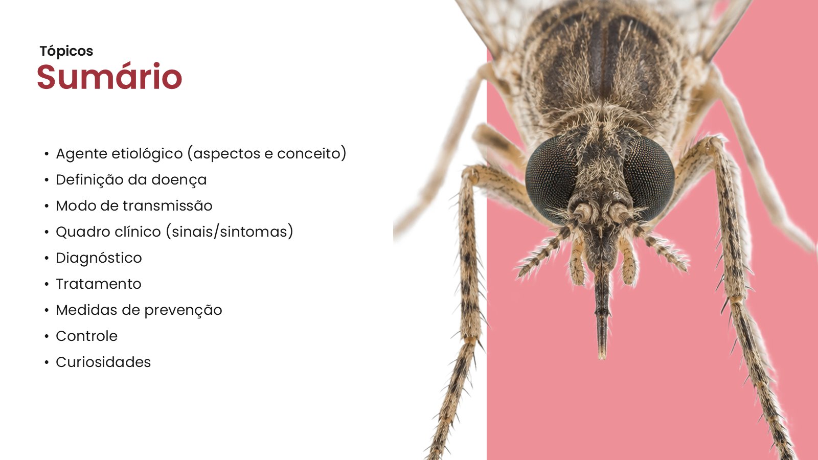 Oropouche – slide 3