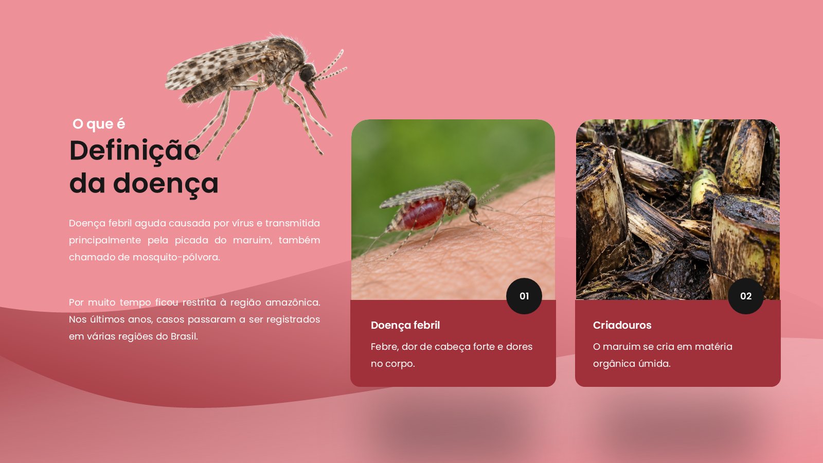 Oropouche – slide 6