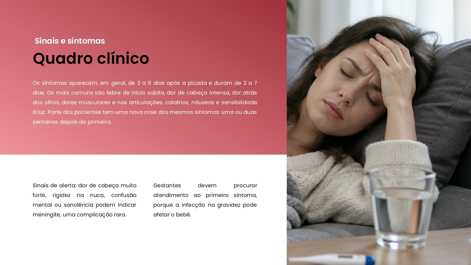 Oropouche – slide 8