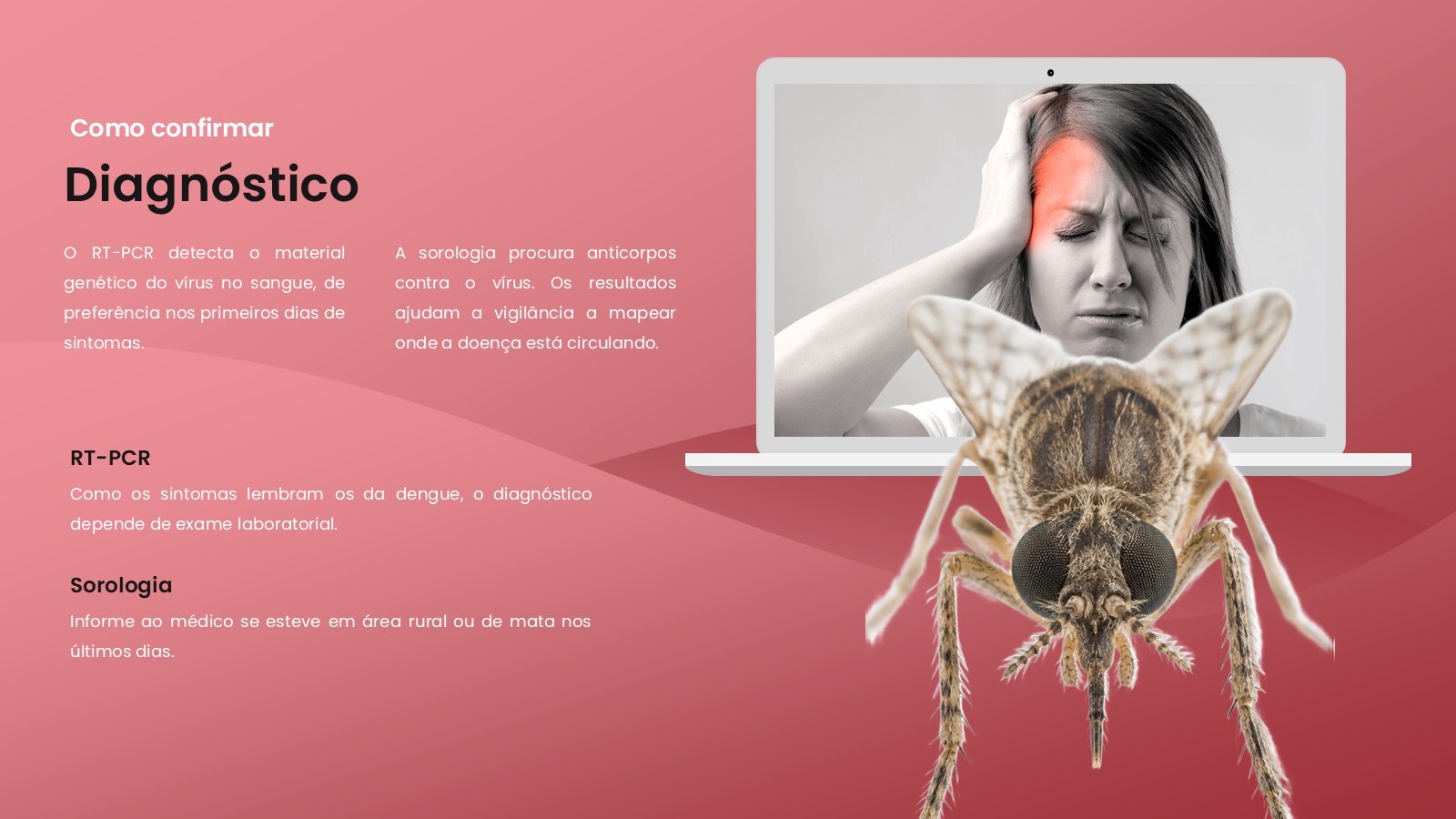Oropouche – slide 9