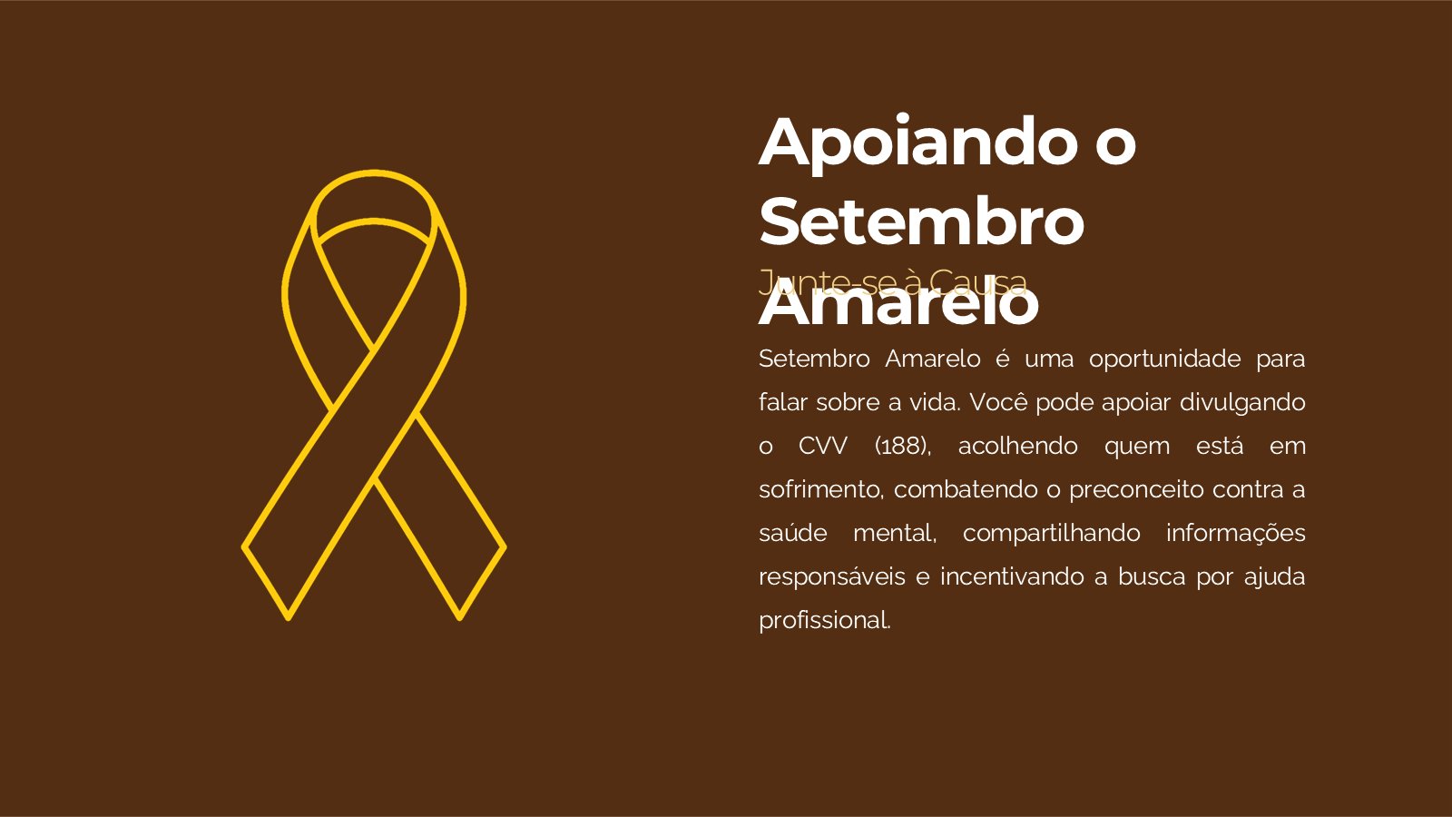 Setembro Amarelo – slide 11