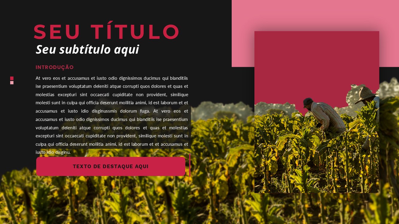 tabagismo-slide6