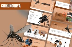 Prévia do template Chikungunya