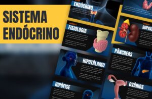 Prévia do template Sistema Endócrino Humano