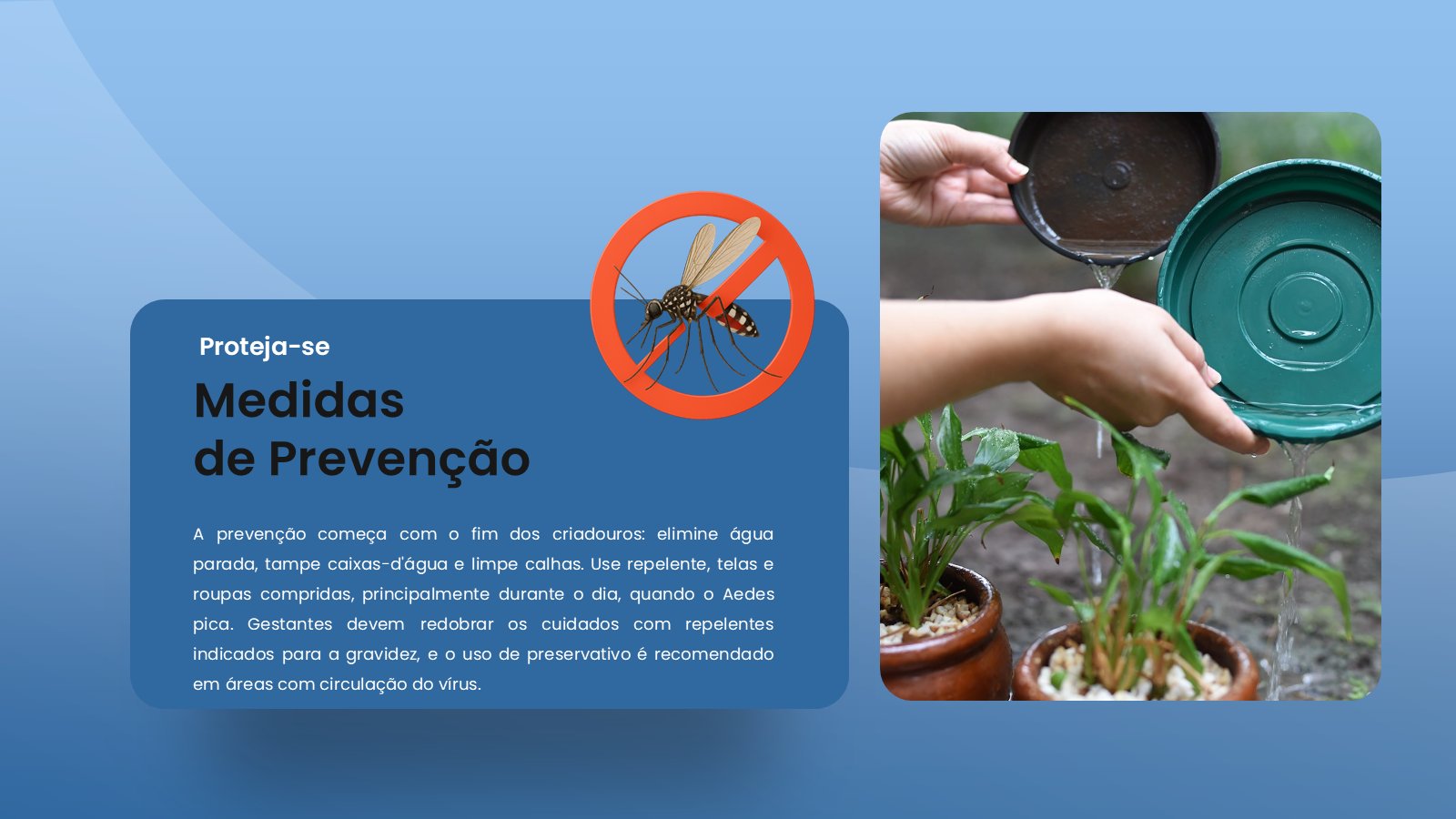Zika – slide 11