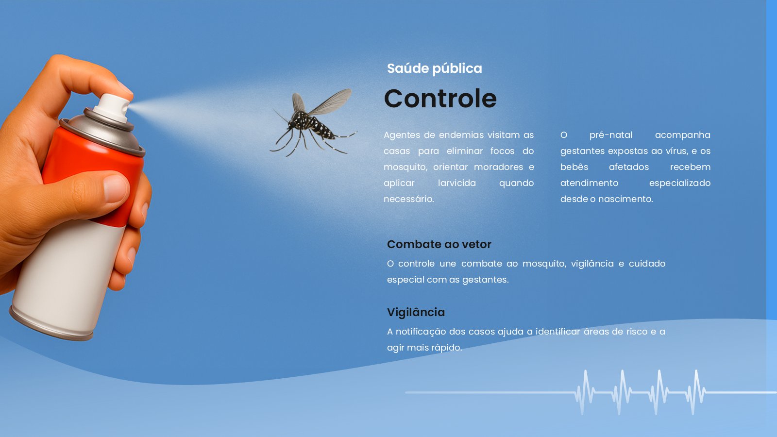 Zika – slide 12