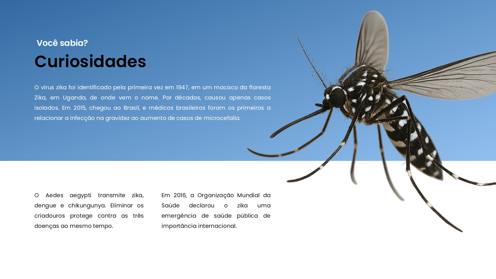 Zika – slide 13