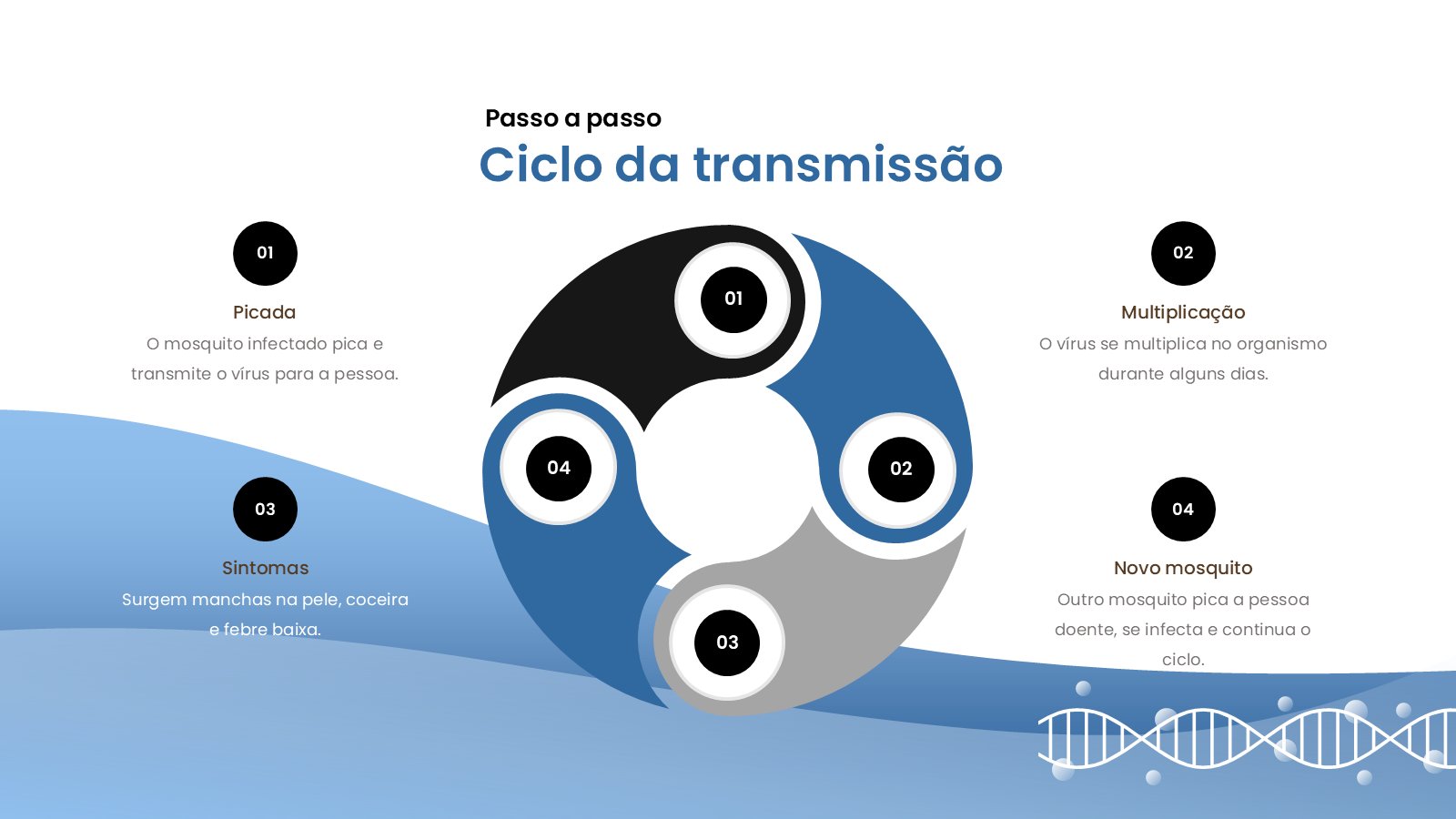Zika – slide 14