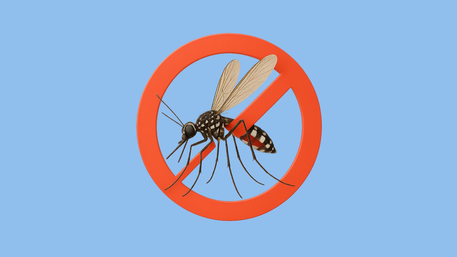 Zika – slide 16