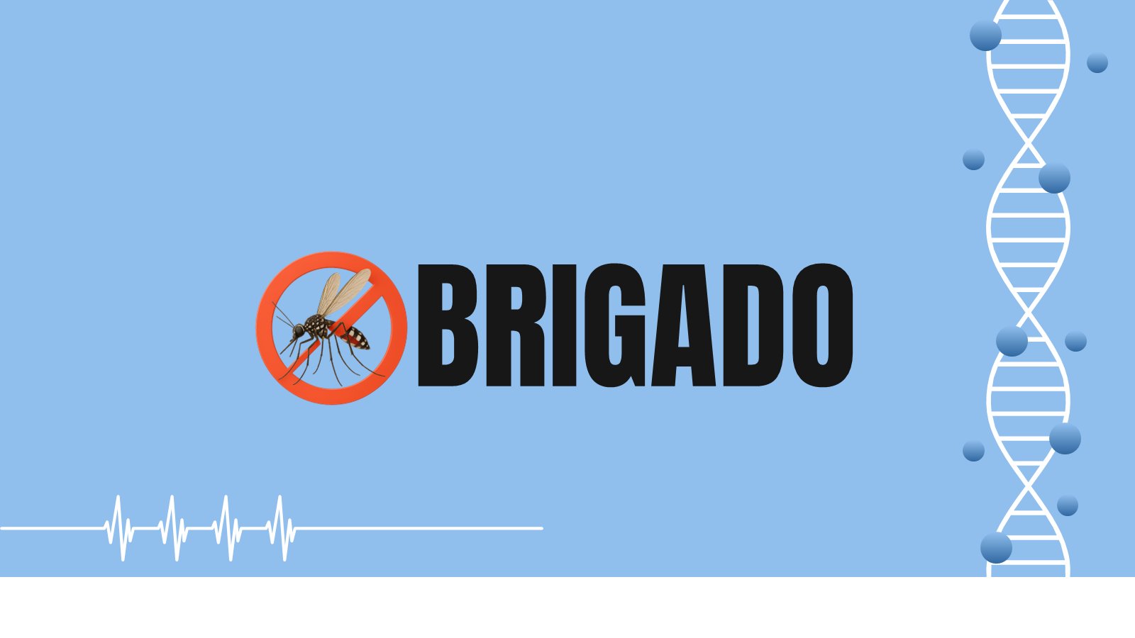 Zika – slide 17