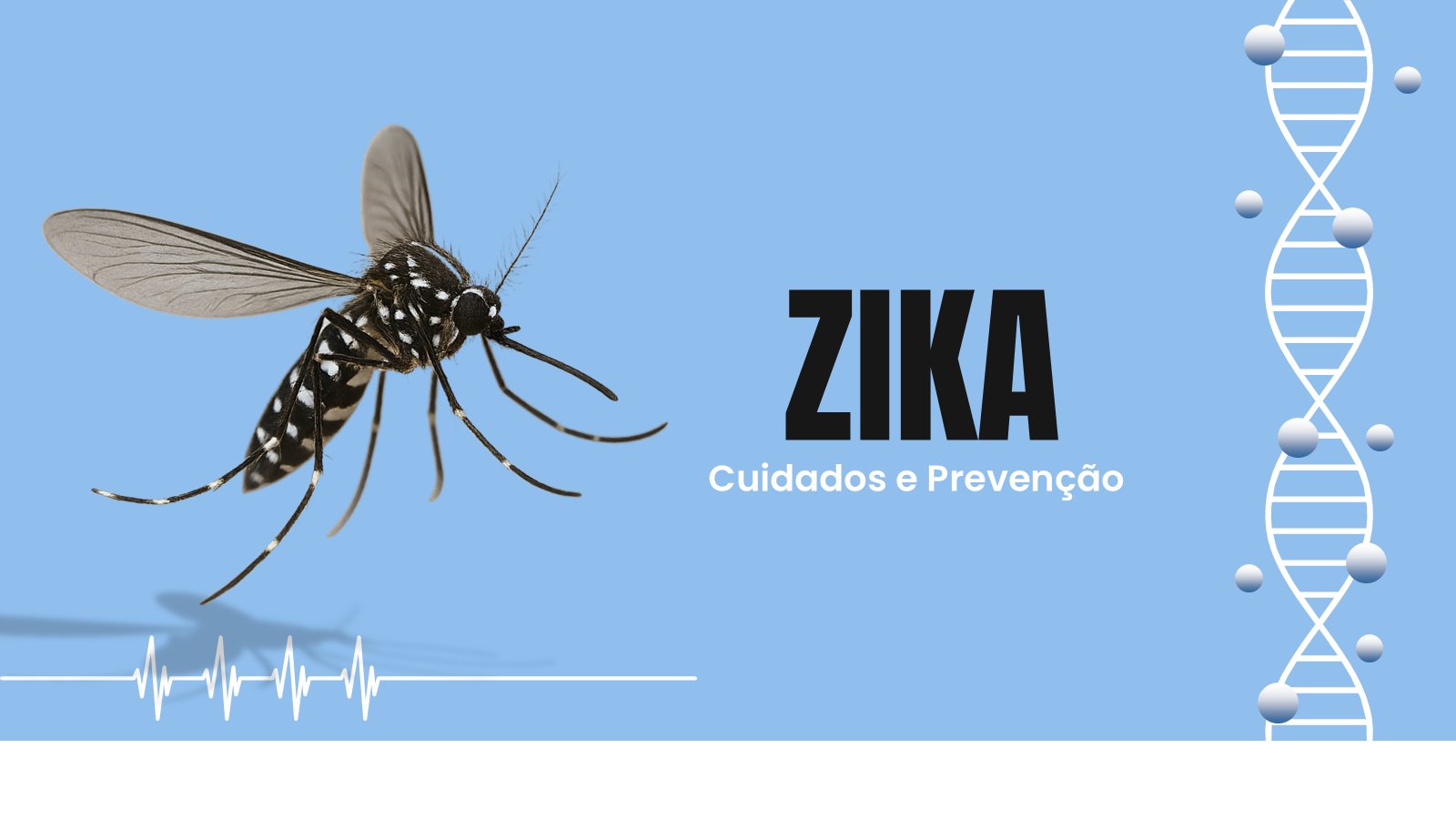 Zika – slide 2