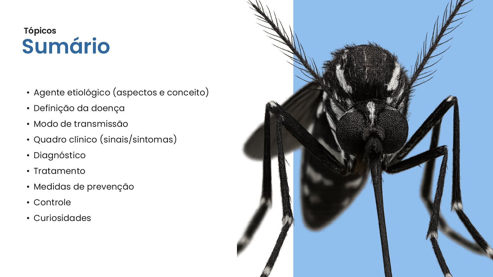 Zika – slide 3