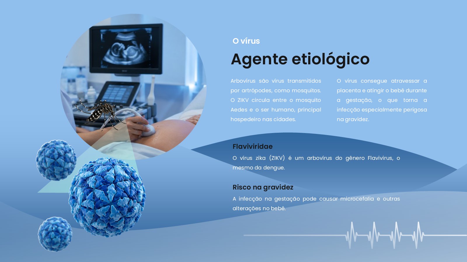 Zika – slide 5