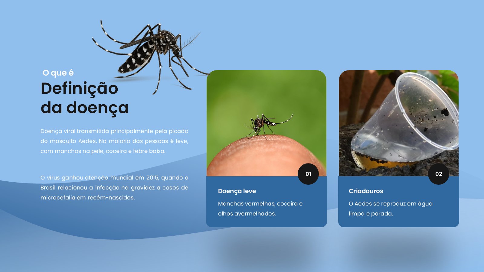 Zika – slide 6