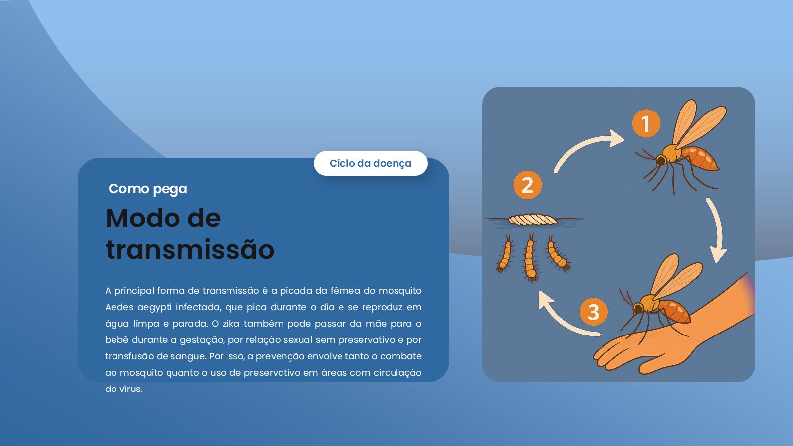 Zika – slide 7