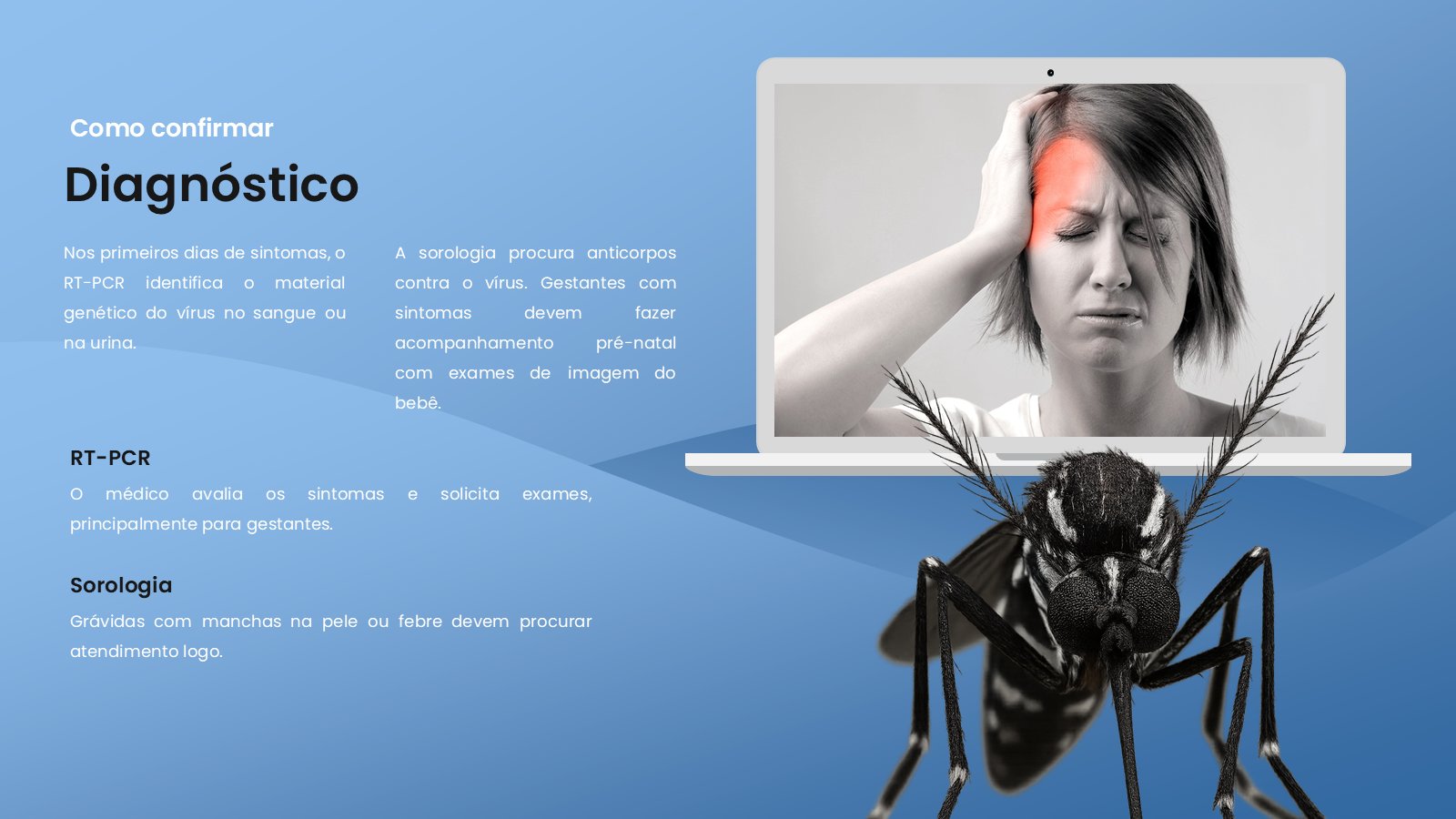 Zika – slide 9